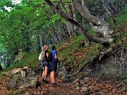 Monte Suchello (1541 m) ad anello via Passo Barbata (1312 m) da Costa Serina il 25 giugno 2022  - FOTOGALLERY